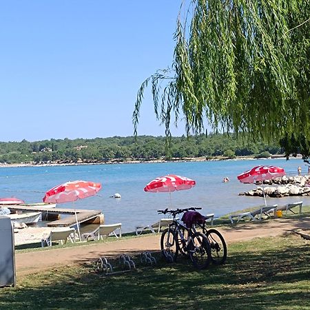 App Karmen With Free Parkig Daire Poreč Dış mekan fotoğraf
