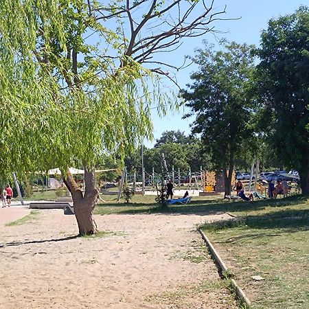 App Karmen With Free Parkig Daire Poreč Dış mekan fotoğraf